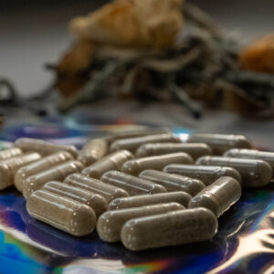 microdose capsules psilocybin and lions mane